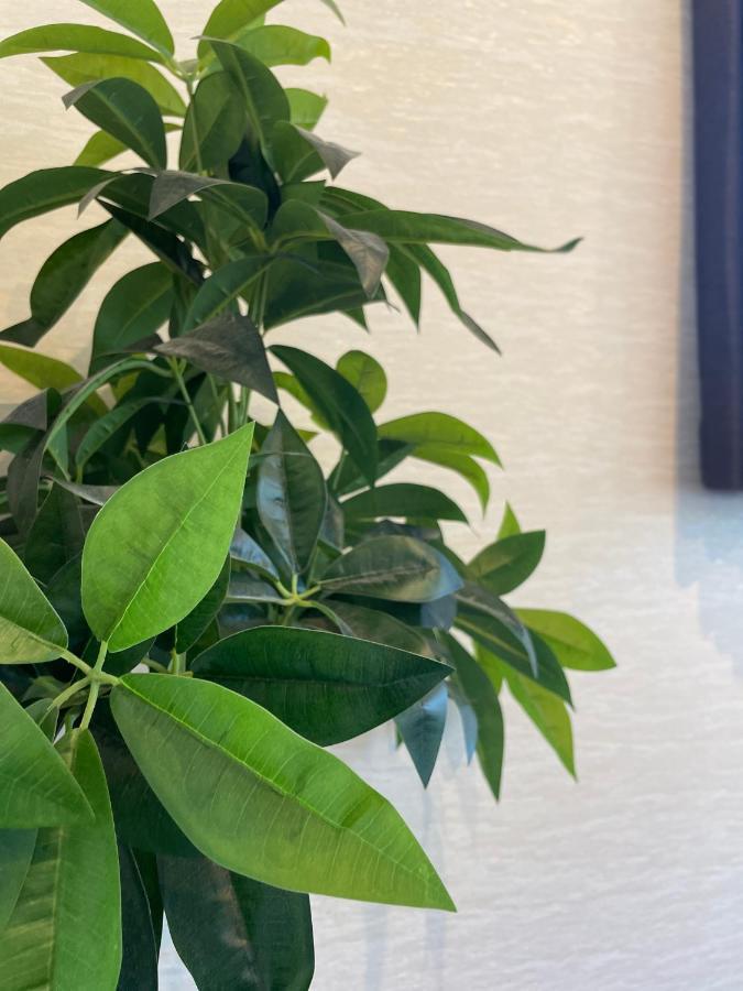 Niseko Hotel Kiraku Kou Zewnętrze zdjęcie